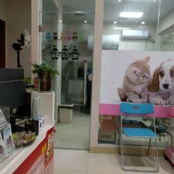 洪星1998寵物店詳細信息 電話、地址、價格、營業時間及圖片